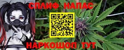 прущие грибы Будённовск