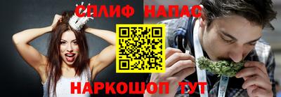 прущие грибы Будённовск