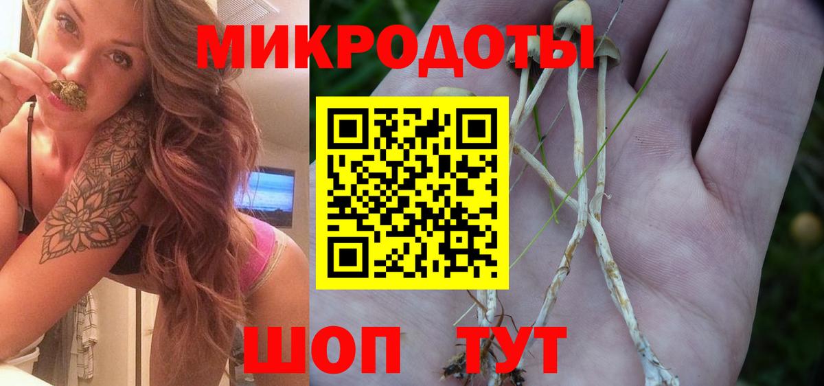 Галлюциногенные грибы Psilocybine cubensis Подольск